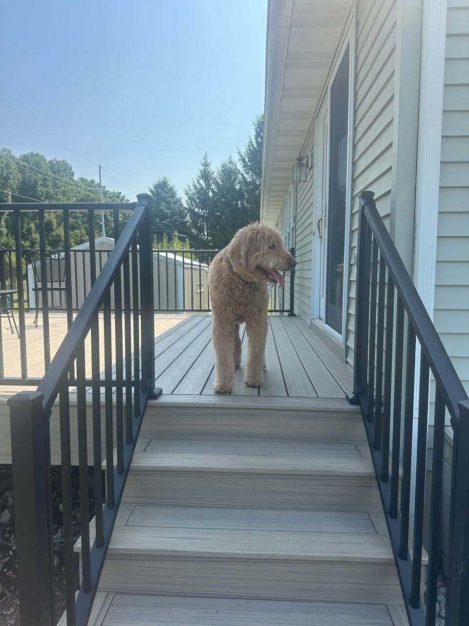 Trex Deck with White Westbury Railing